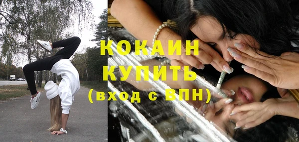 спайс Богородицк