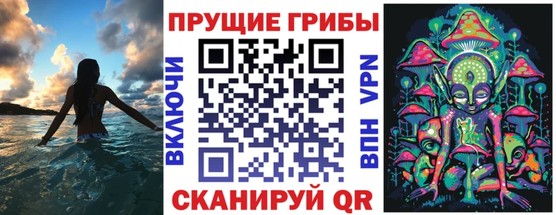 Псилоцибиновые грибы Psilocybe  Нахабино 